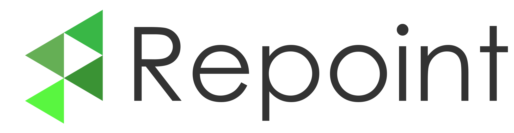 Repoint Logo